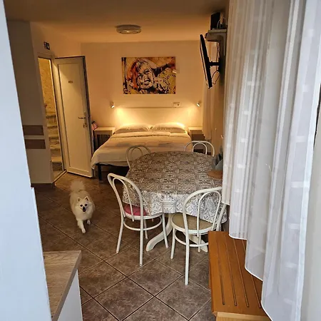 Don Dolfino - Hisa Dolfinova Vrata Apartman Piran