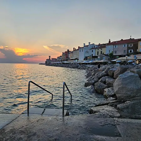 Apartman Don Dolfino - Hisa Dolfinova Vrata *