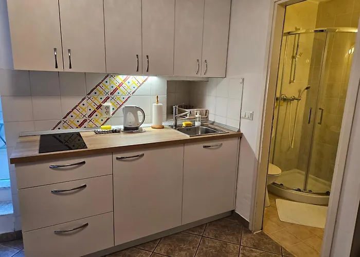 Don Dolfino - Hisa Dolfinova Vrata * 皮兰