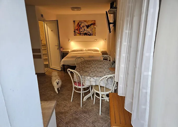 Don Dolfino - Hisa Dolfinova Vrata 公寓 皮兰