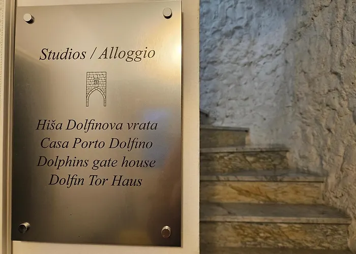 Don Dolfino - Hisa Dolfinova Vrata 公寓