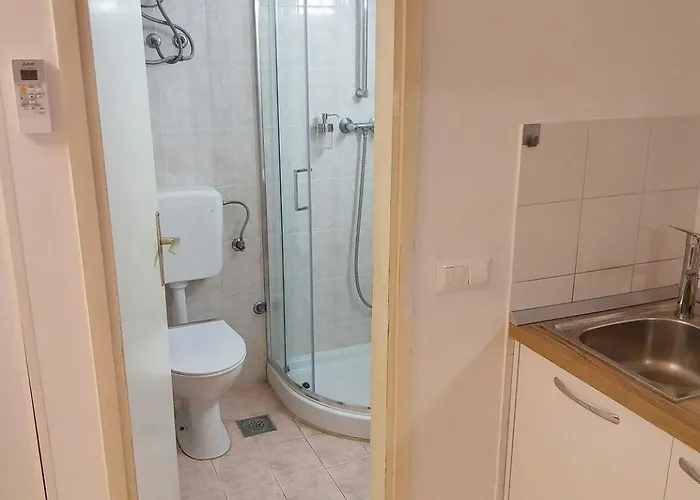 公寓 Don Dolfino - Hisa Dolfinova Vrata